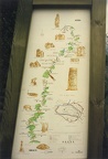 Bourgogne-Franche-Comté